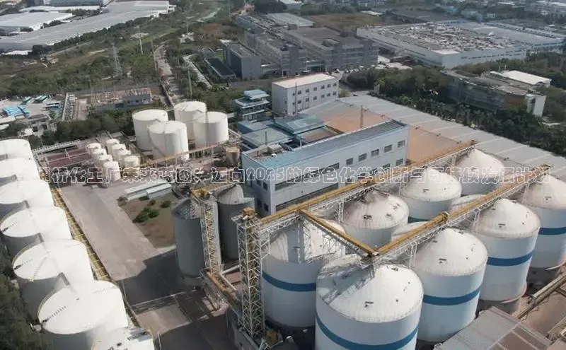 贝博betball体育app下载